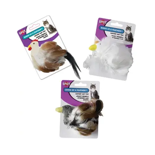 Bird Cat Toy, Assorted