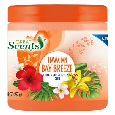 DELTA BRANDS INC. Odor Absorbing Gel Hawaiian Bay Breeze 10-oz. 11633-12