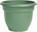 Living Green
