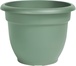 Living Green