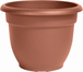 Terra Cotta