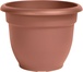 Terra Cotta