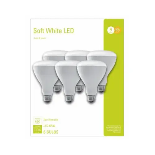 LED Light Bulb BR30 E26 (Medium) Soft White 65 Watt Equivalence Frosted LED Light Bulb BR30 E26 (Medium) Soft White 65 Watt Equivalence Frosted