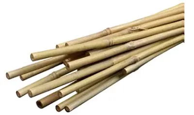 Miracle-Gro Bamboo Plant Stakes 6-Ft - pack of 6 SMG12034