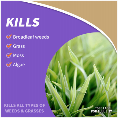 Bonide 2601 Captain Jack's Concentrated Deadweed Brew, Liquid, Clear/Yellow, 1 qt