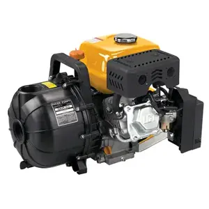 PACER PUMPS, DIV. OF ASM IND SEB2PL E5.5 LCT Maxx Series Overhead Valve Gas Engine Pump, 6HP, 22-In.