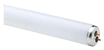 GE Lighting 42100 Linear Fluorescent Tube, T8, 32-Watts, 48-In.