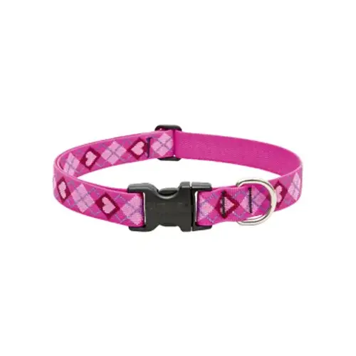 Dog Collar, Adjustable, Puppy Love, 1 x 16 to 28-In. Dog Collar, Adjustable, Puppy Love, 1 x 16 to 28-In.