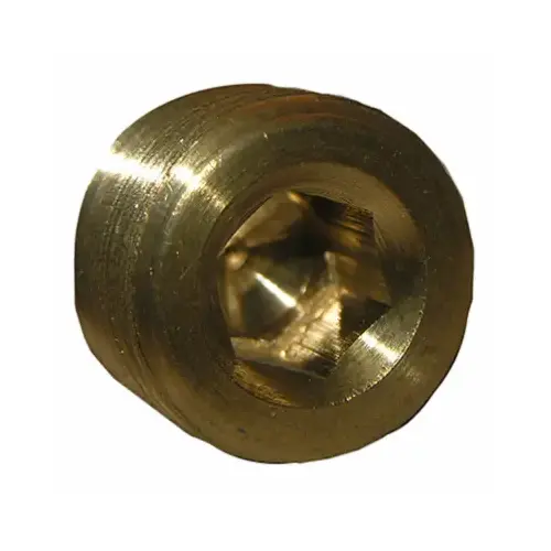 1/4" Countersunk Plug 1/4" Countersunk Plug