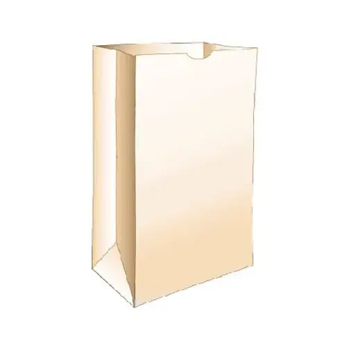 Paper Lunch Bags, Brown, 50-Ct. - pack of 24 Paper Lunch Bags, Brown, 50-Ct. - pack of 24