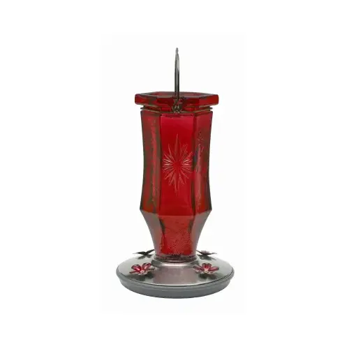 Bird Feeder, Ruby Starburst Vintage, 16 oz, 4-Port/Perch, Glass, Red, 8-1/2 in H Bird Feeder, Ruby Starburst Vintage, 16 oz, 4-Port/Perch, Glass, Red, 8-1/2 in H