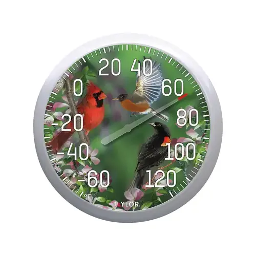 Bird Thermometer, Multi-Color Casing Bird Thermometer, Multi-Color Casing