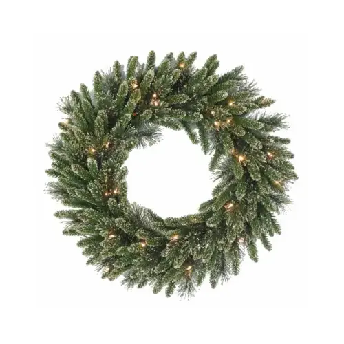 Artificial Wreath, Golden Bristle, 50 Battery-Operated Warm White LED Lights, 24-In.