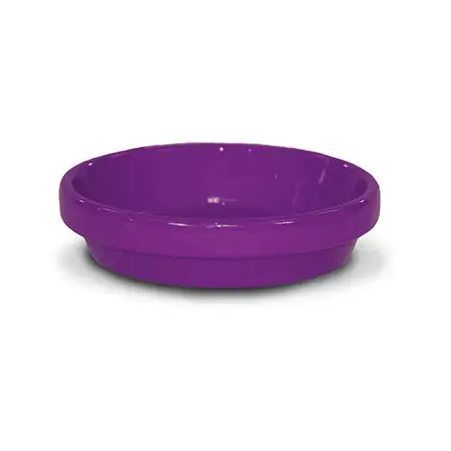Spring Fever 8 In. Violet Clay Flower Pot Saucer