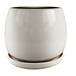 Cream White