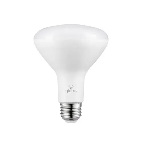 LED Bulb Wi-Fi Smart Home BR30 E26 (Medium) Tunable White/Color Changing 65 W White