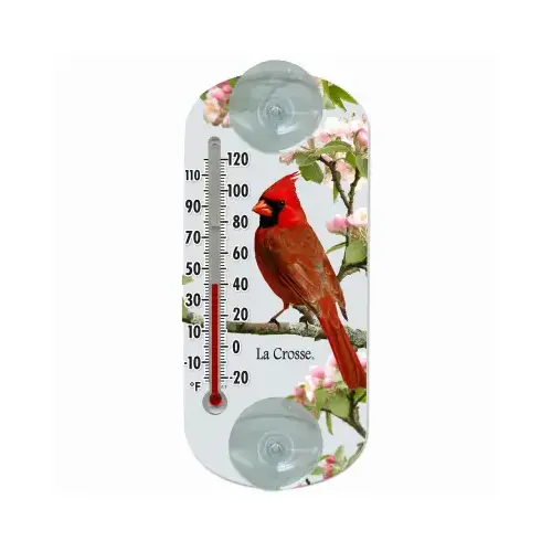 Window Thermometer Cardinal Plastic Multicolored 8.8" Multicolored Window Thermometer Cardinal Plastic Multicolored 8.8" Multicolored