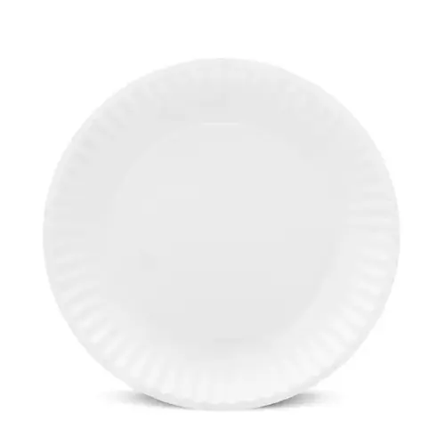 PAPER PLATE WHITE UNCOATED 9 INCH BULK PAPER PLATE WHITE UNCOATED 9 INCH BULK