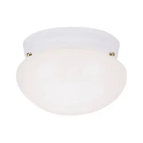 8-Inch Ceiling Light Fixture 8-Inch Ceiling Light Fixture