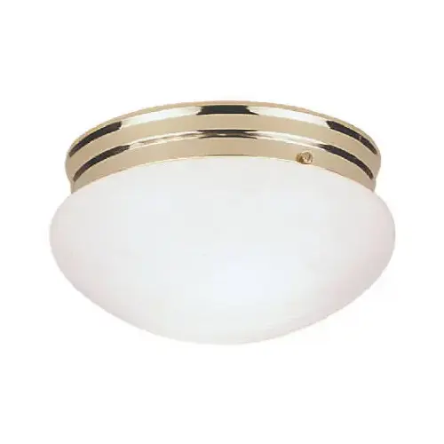 9-1/2-Inch Ceiling Light Fixture 9-1/2-Inch Ceiling Light Fixture
