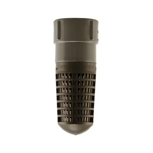 Foot/Check Valve, Plastic, 1-In.