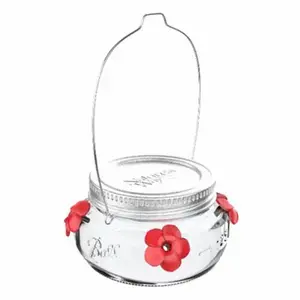 Nature's Way MJF1 Mason Jar Hummingbird Feeder, Glass Dish, Lid & Hanger
