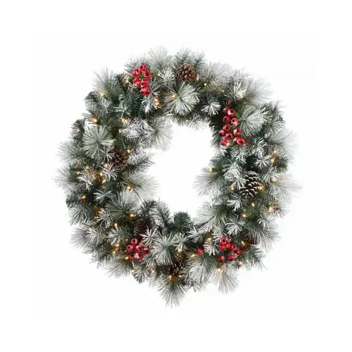 Snowy Glacier Pine Artificial Wreath, 50 Warm White LED Lights, 24-Ft. Snowy Glacier Pine Artificial Wreath, 50 Warm White LED Lights, 24-Ft.
