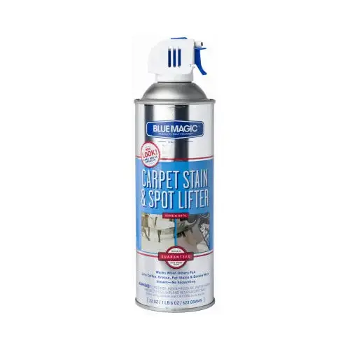 Aerosol Carpet Stain & Spot Lifter, 22 oz.