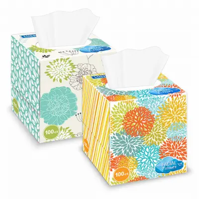 DELTA BRANDS INC. Facial Tissues Unscented 100-Ct. Assorted Colors & Designs On Box - pack of 12 11260-12-XCP12 DELTA BRANDS INC. Facial Tissues Unscented 100-Ct. Assorted Colors & Designs On Box - pack of 12 11260-12-XCP12