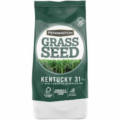 PENNINGTON SEED VIRGINIA DIV 100521768 Kentucky 31 Tall Fescue Grass Seed, 10-Lbs.