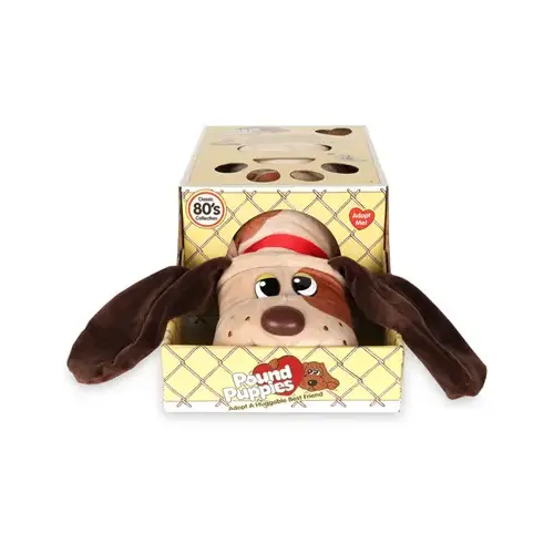 ASSTD Pound Puppies - pack of 2