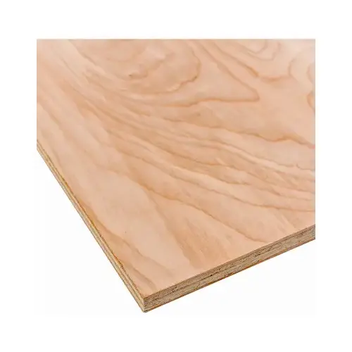 Birch Plywood, 3/4-In. x 2 x 4-Ft. Birch Plywood, 3/4-In. x 2 x 4-Ft.