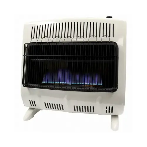 Vent-Free Blue Flame Dual Fuel Heater, 20 lb Fuel Tank, Liquid Propane, Natural Gas, White