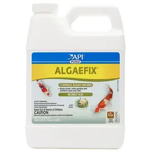 MARS FISHCARE NORTH AMERICA 169G Algaefix Algae Control Solution, 32-oz.