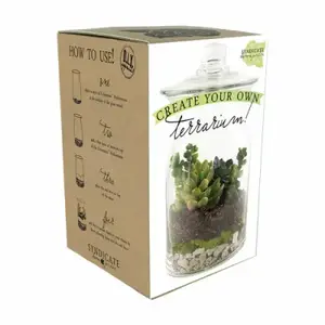 Syndicate Home & Garden 100-06-00-XCP6 Terrarium Kit - pack of 6