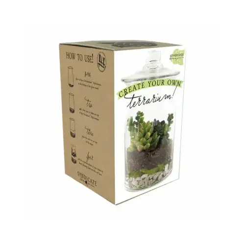 Terrarium Kit - pack of 6