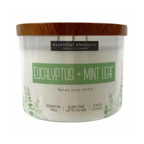 Essential Elements 3-Wick Jar Candle, Eucalyptus & Mint Leaf, 14.75-oz. Cream Essential Elements 3-Wick Jar Candle, Eucalyptus & Mint Leaf, 14.75-oz. Cream