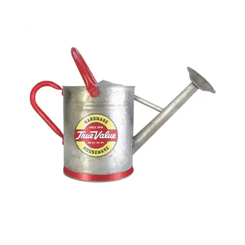 Vintage Watering Can, Galvanized, 2-Gallon Gray