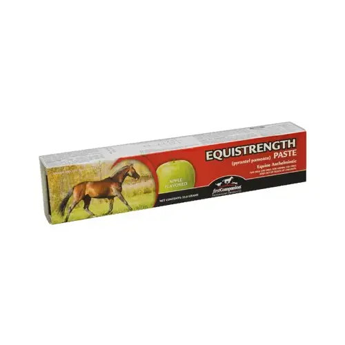 Equistrength Paste, Apple Flavored, 1-oz. Equistrength Paste, Apple Flavored, 1-oz.