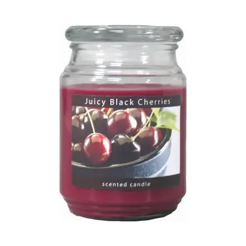 Jar Candle, Juicy Black Cherries Fragrance, Burgundy Candle, 70 to 110 hr Burning - pack of 4