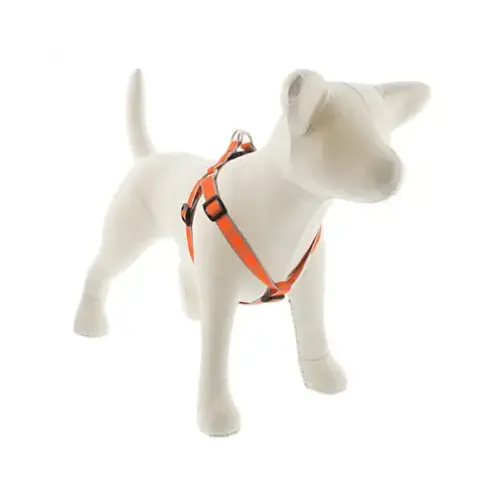 3/4x20-30OD Dog Harness 3/4x20-30OD Dog Harness