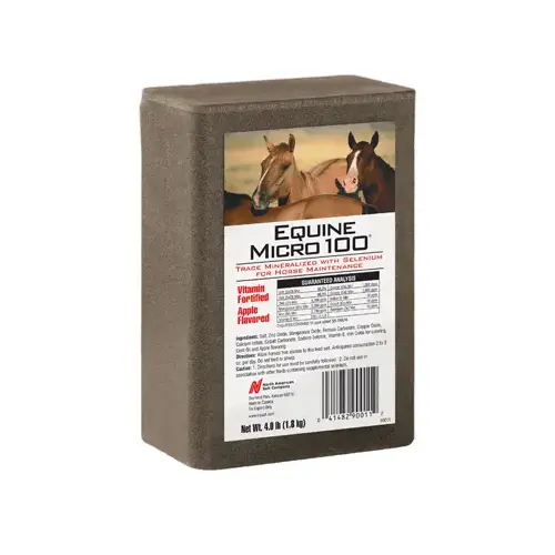 Equine Brick for Horses, 4-Lb.