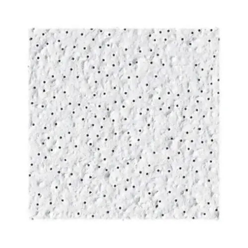 Alpine Ceiling Panel Tile, 2 x 2-Ft. x 5/8-In. - pack of 16
