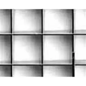 PLASKOLITE 1199234A-XCP15 Egg Crate Lighting Diffuser, Silver, 2 x 4-Ft. - pack of 15