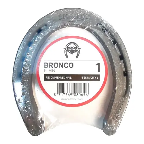 1PLAINB Horseshoe, 5/16 in Thick, #1, Steel - pack of 15