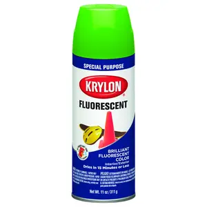 KRYLON K03106888 Spray Paint, Gloss, Fluorescent Green, 11 oz
