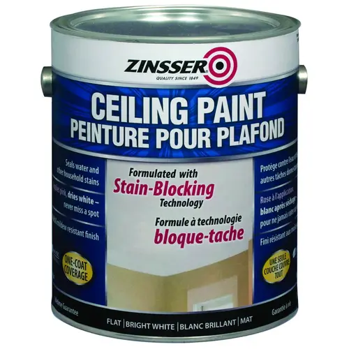 Ceiling Paint, Flat, White, 3.78 L