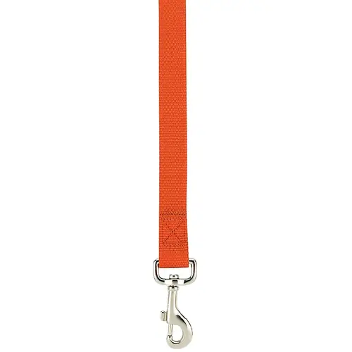 Dog Lead, 6 ft L, 5/8 in W, Nylon Line, Orange Dog Lead, 6 ft L, 5/8 in W, Nylon Line, Orange