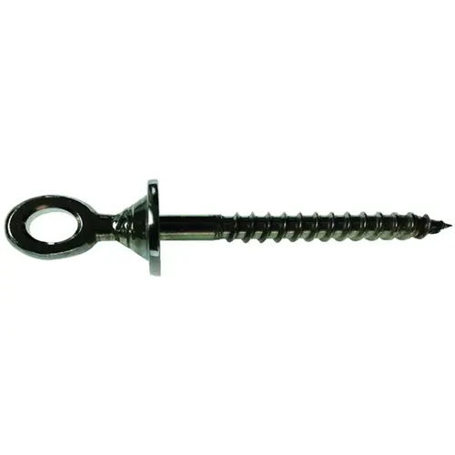 RT EL-01 Eye Lag Screw, Stainless Steel - pack of 2