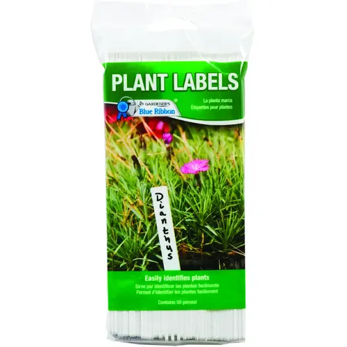 T-Label, White Background T-Label, White Background